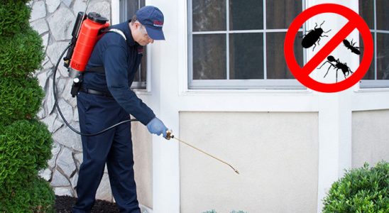 Sarıveliler Pire İlaçlama böcek ilaçlama ve haşere kontrolü — ilaclama-tr.com